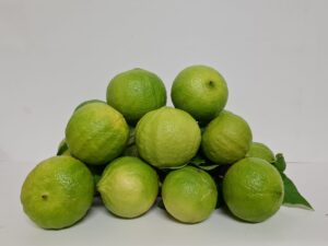 Bergamotto di Reggio Calabria frutto fresco CONVENZIONALE O BIOLOGICO (1 confezione da 10 kg oppure da 15 kg a scelta-buccia edibile)
