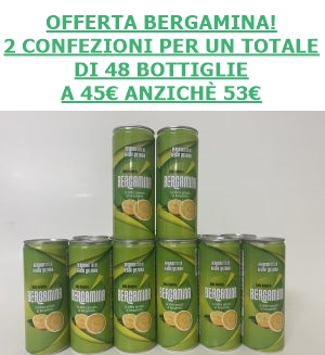!OFFERTA! 2 Confezioni di Bergamina a soli 45€ – Gassosa al Bergamotto – 48 bottiglie da 25 CL